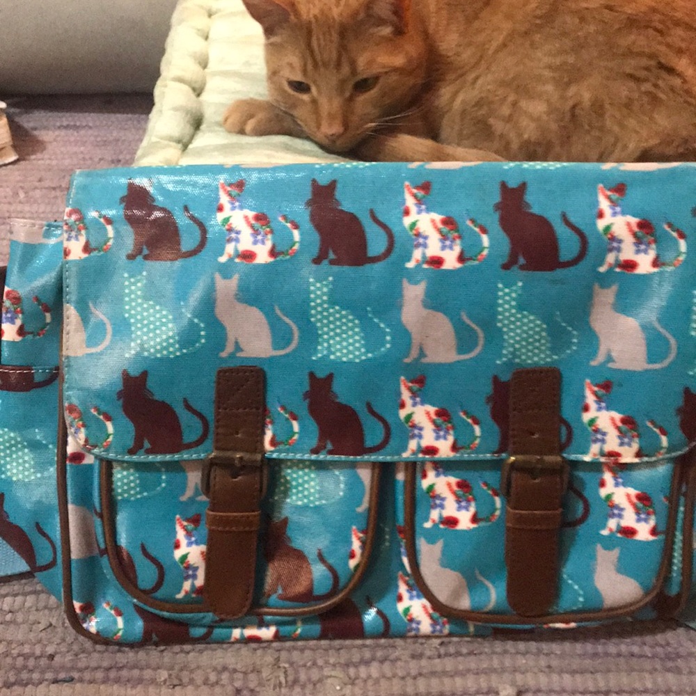 Cat-tastic Messenger Bag!